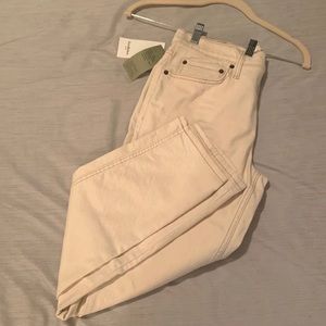 Khaki Pants